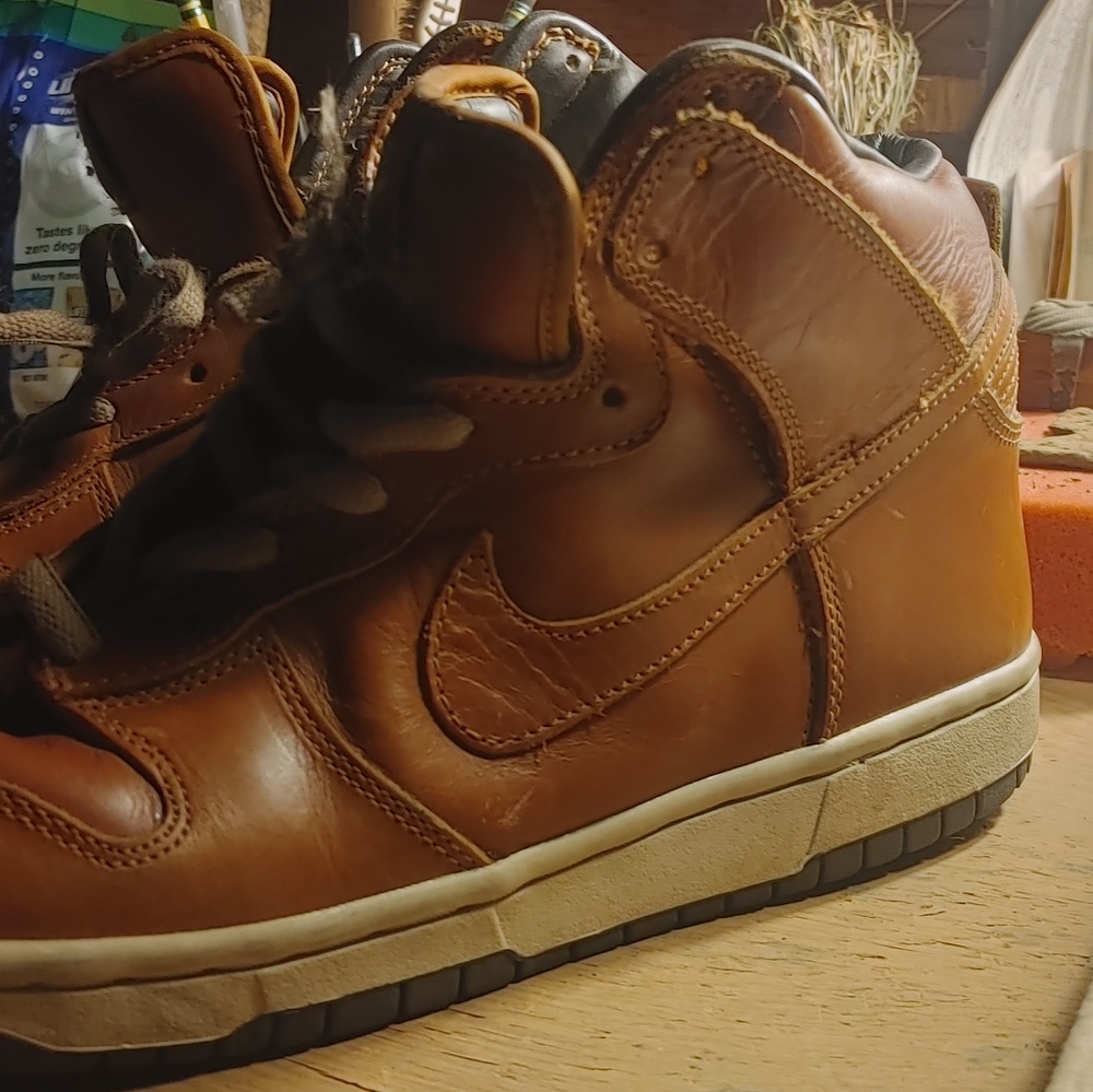 Nike Dunk Hi CURRY